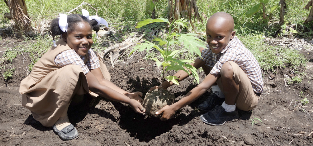 Image result for children planting trees haiti