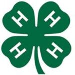 4H