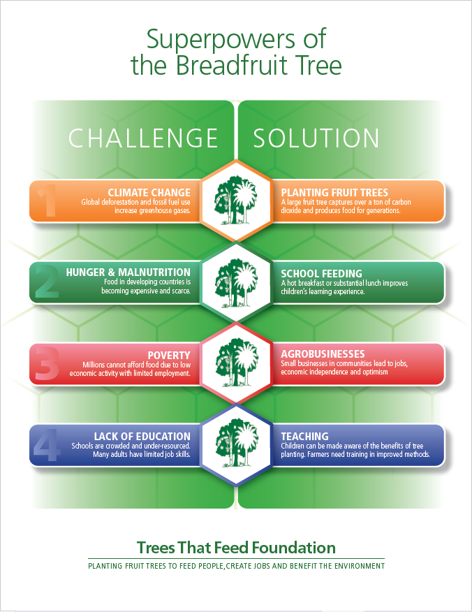 challenge solution