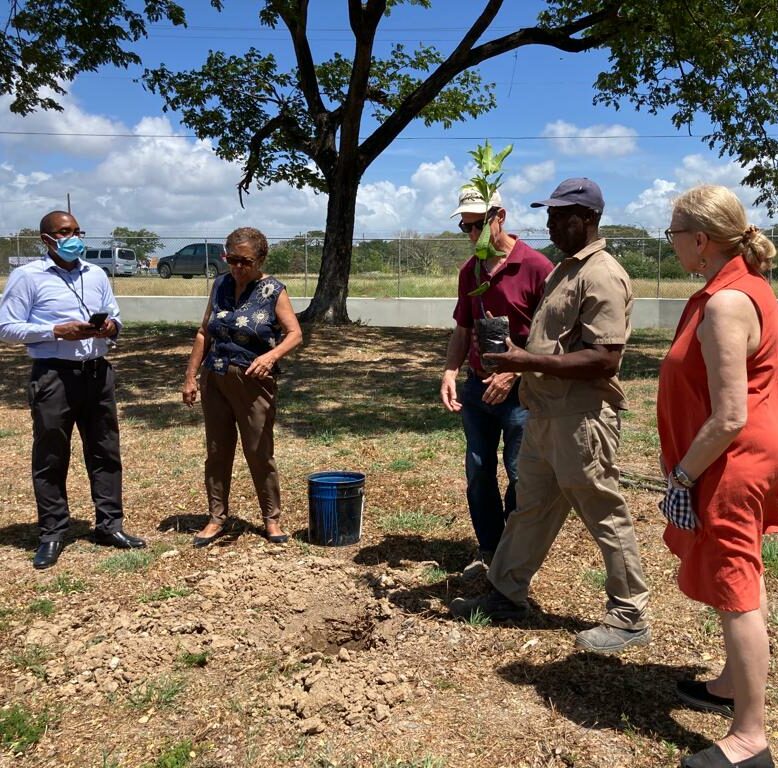 Planting a mango tree at Christel House